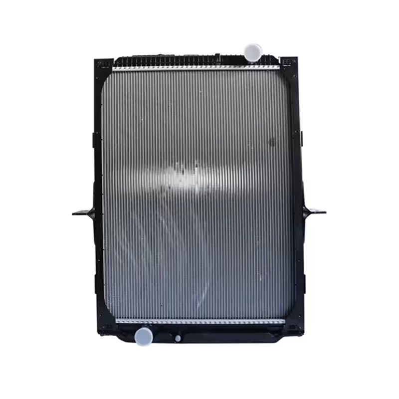 Accesoriu motor Radiator DZ91125328