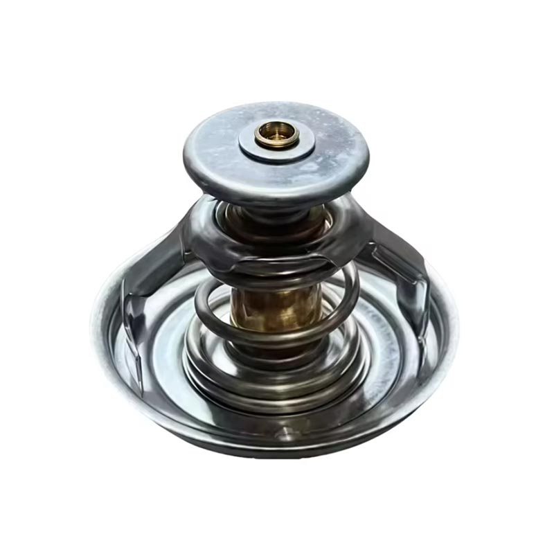 Termostat motor camion 1000837830
